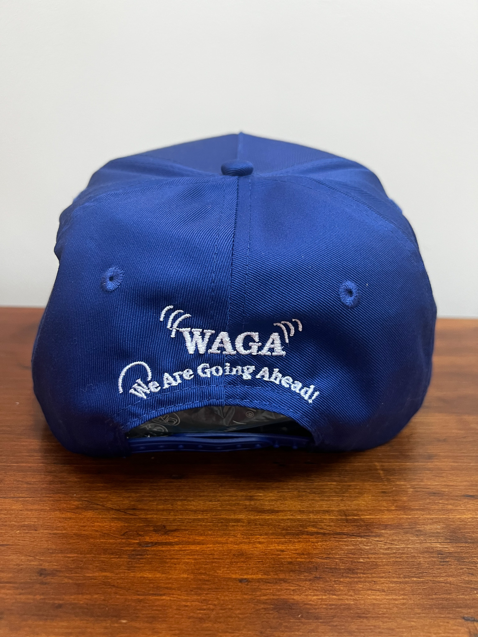 Blue Dad Cap - Back
